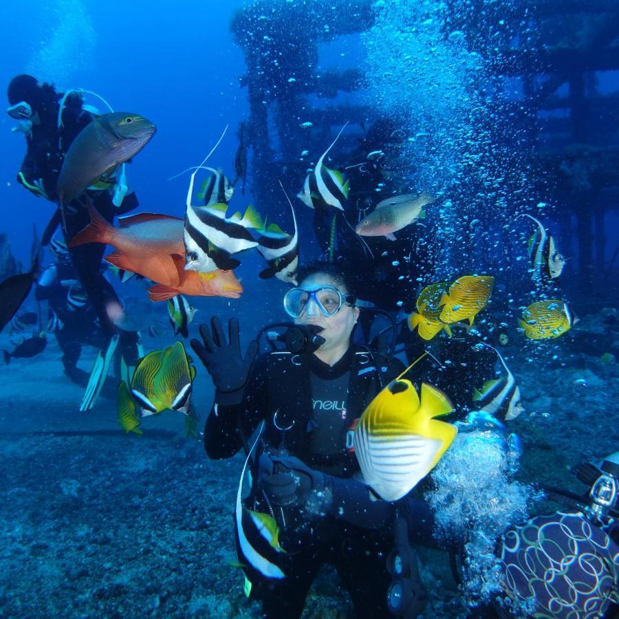 Green Island Ocean Rhythem Dive B&B 綠島海韻民宿 المظهر الخارجي الصورة